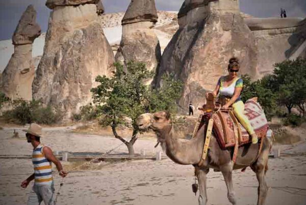 Cappadocia Camel Safari